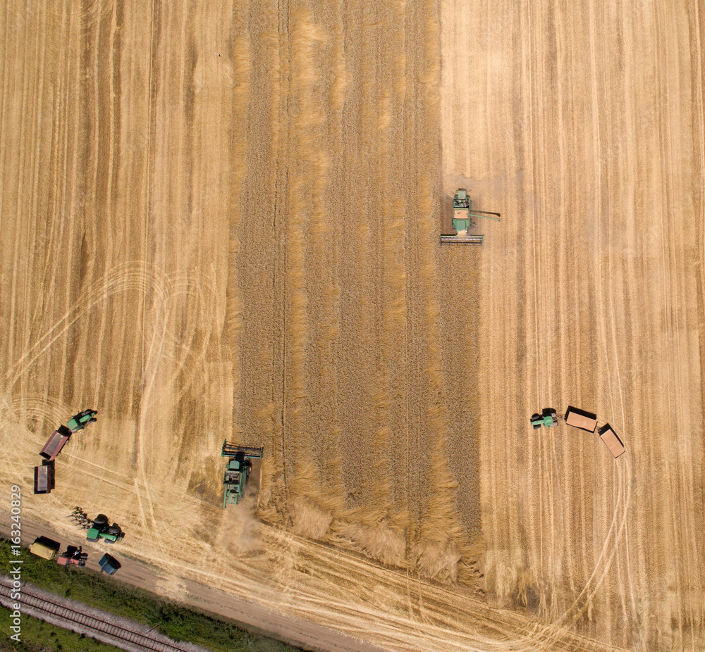 Combine harvester working in golden wheat field Combine harvester working in golden wheat field