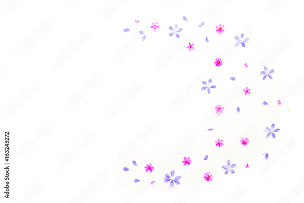 Flowers background. Pink, lilac, purple flowers on white background. Flat lay, top view