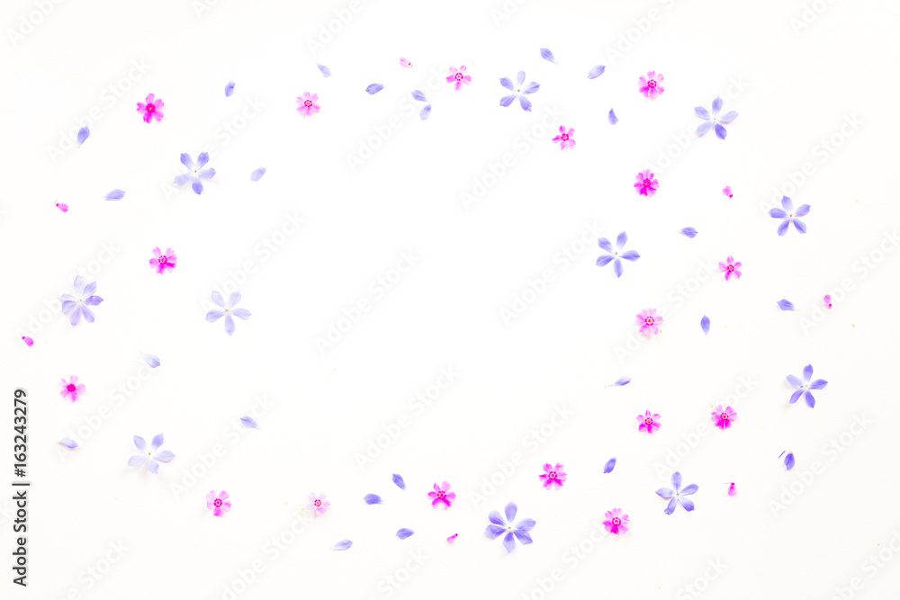Flowers background. Pink, lilac, purple flowers on white background. Flat lay, top view Flowers background. Pink, lilac, purple flowers on white background. Flat lay, top view
