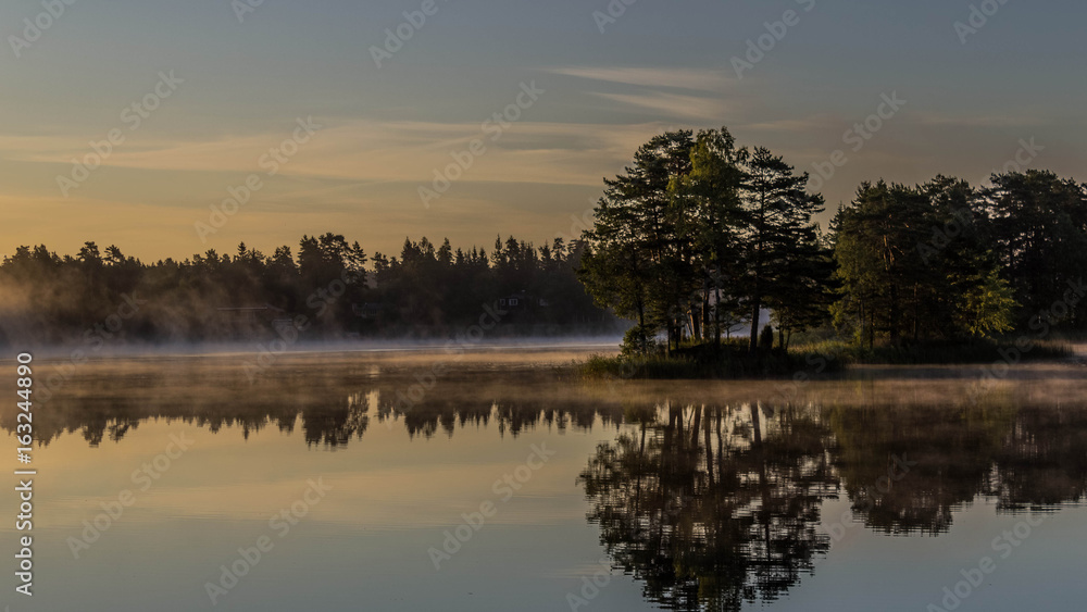 Morning fog