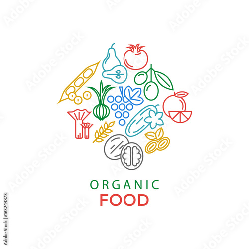 Digital blue green yellow red vegetable icons set infographics drawn simple line art pattern, onion squash pear orange apple grape carrot wallnut peas watermelon cabage, flat, organic vegetarian food