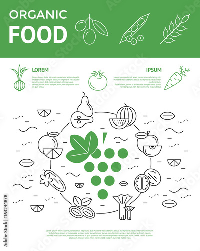 Digital vector green and black vegetable icons set infographics with drawn simple line art, onion squash pear orange apple grape carrot wallnut peas watermelon flower cabage, flat style, organic food