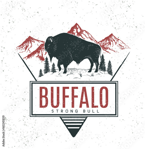 Old retro logo with bull buffalo