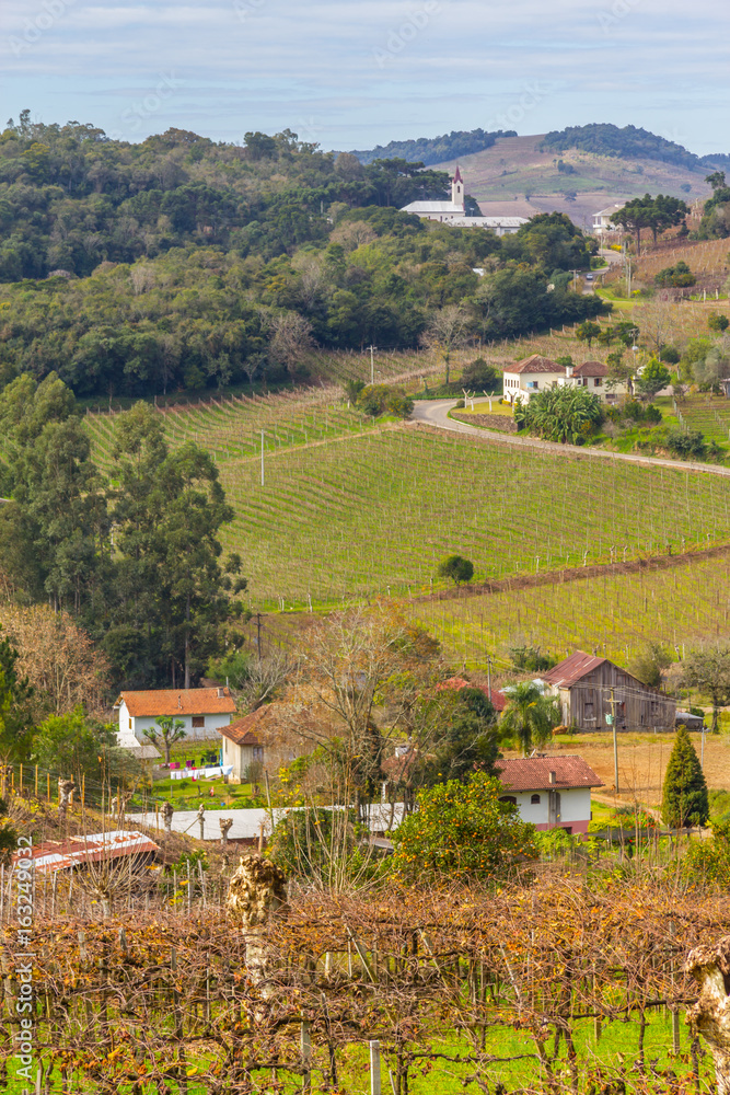 Village and Vineyards in winter, Vale dos Vinhedos valley