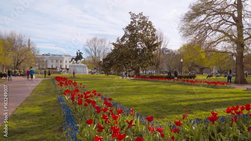 Garden in front of The White House in Washington - home and office of the US President photo