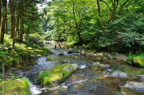 渓流で川遊びをする子供たち