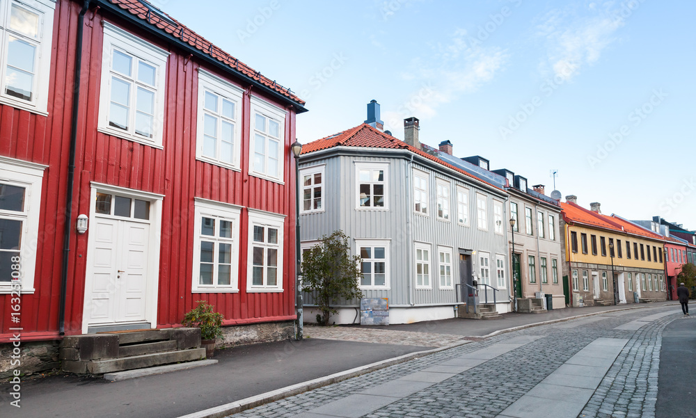 Traditional Scandinavian wooden houses