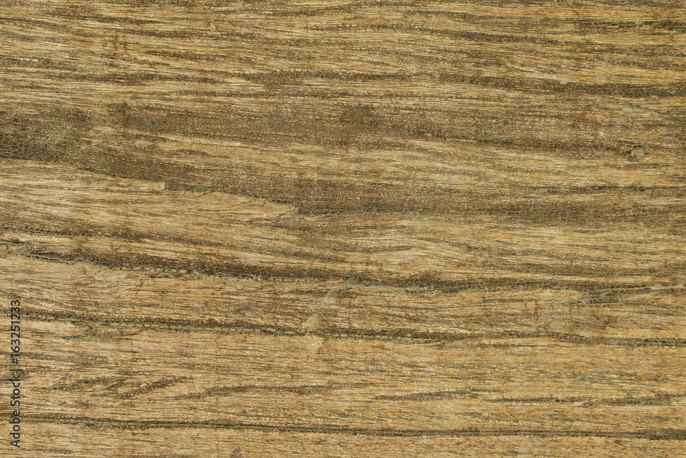 Image of wood texture. Wooden background pattern. Image of wood texture. Wooden background pattern.