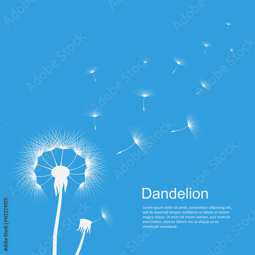 Fototapeta Naklejka Na Ścianę i Meble -  Dandelion on blue template poster