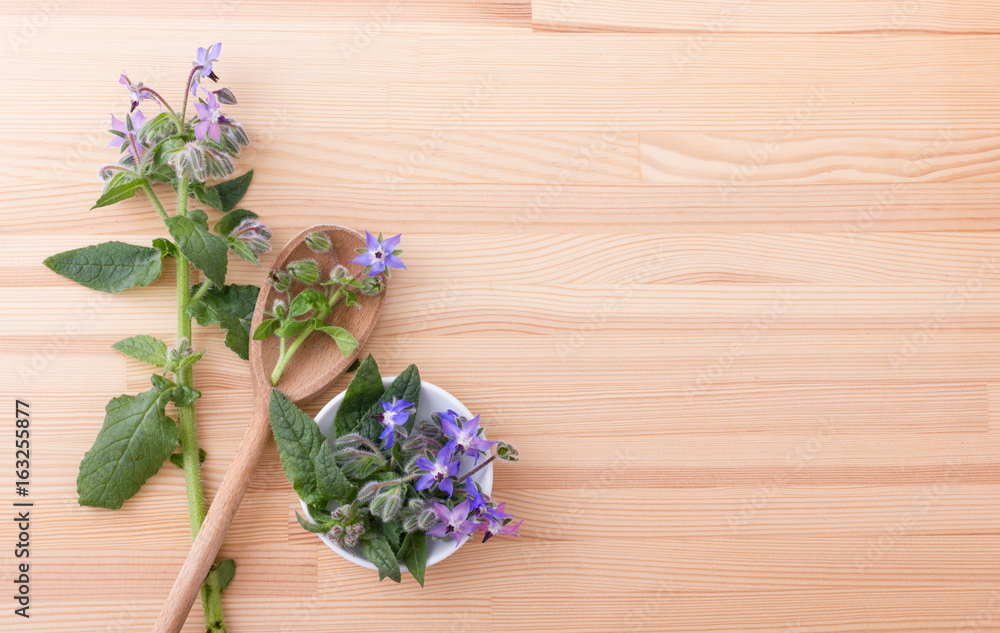 Borage / Bowl and wooden spoon with Borag Borage / Bowl and wooden spoon with Borag
