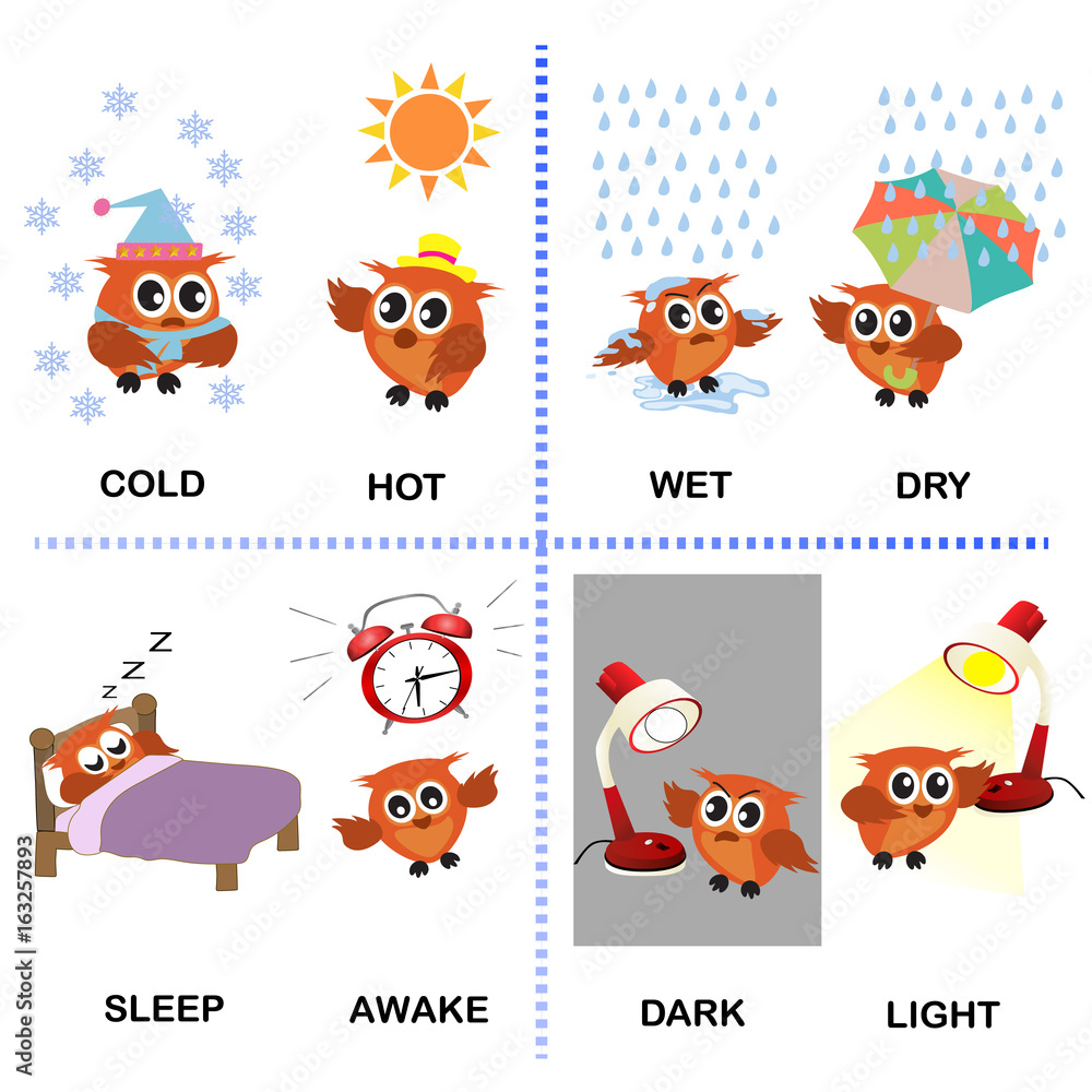 opposite word vector background for preschool (cold hot wet dry sleep awake  dark light) Stock Vector | Adobe Stock