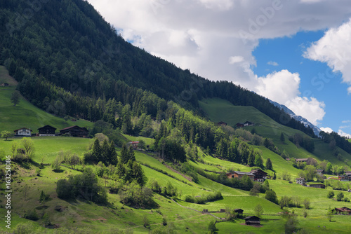 Fototapeta Naklejka Na Ścianę i Meble -  Idyllic landscape in the Alps in springtime with traditional mountain chalet and fresh green mountain pastures with blooming flowers on a beautiful sunny day. Austria, Europe.