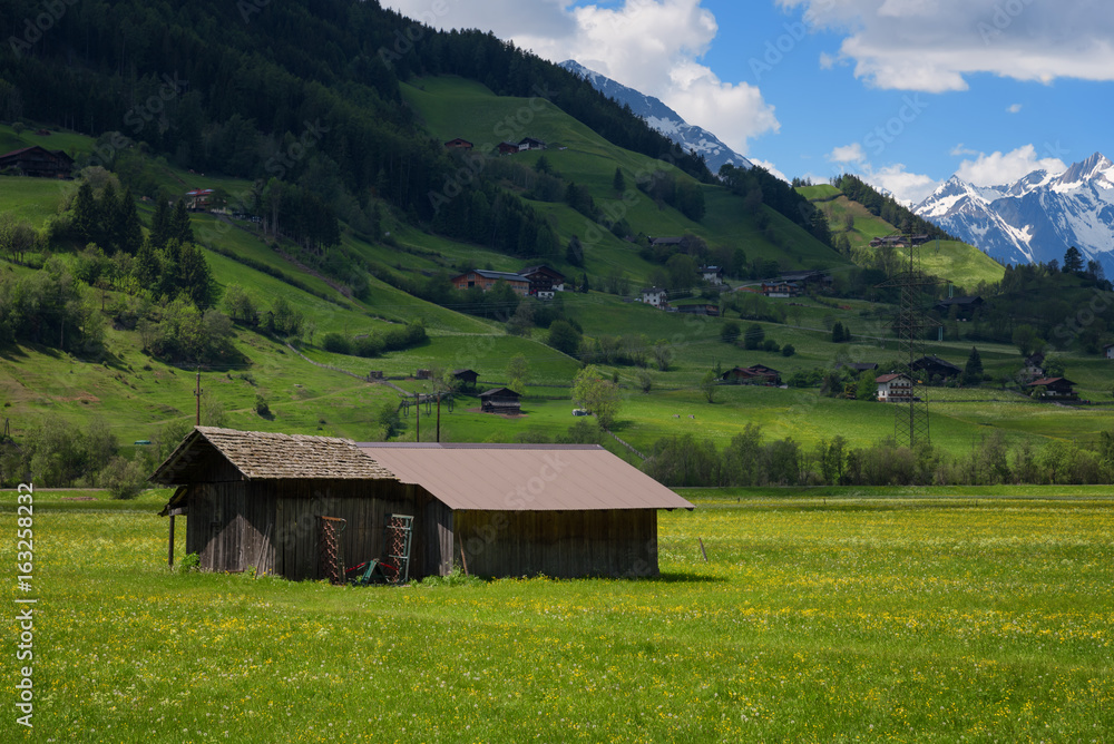 Idyllic landscape in the Alps in springtime with traditional mountain chalet and fresh green mountain pastures with blooming flowers on a beautiful sunny day. Austria, Europe.