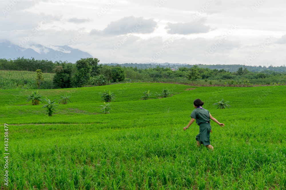 Play corn field