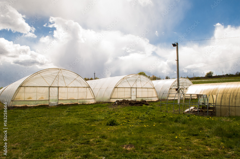 Polythene tunnel as a plastic greenhouse in an allotment with growing vegetables and fruits