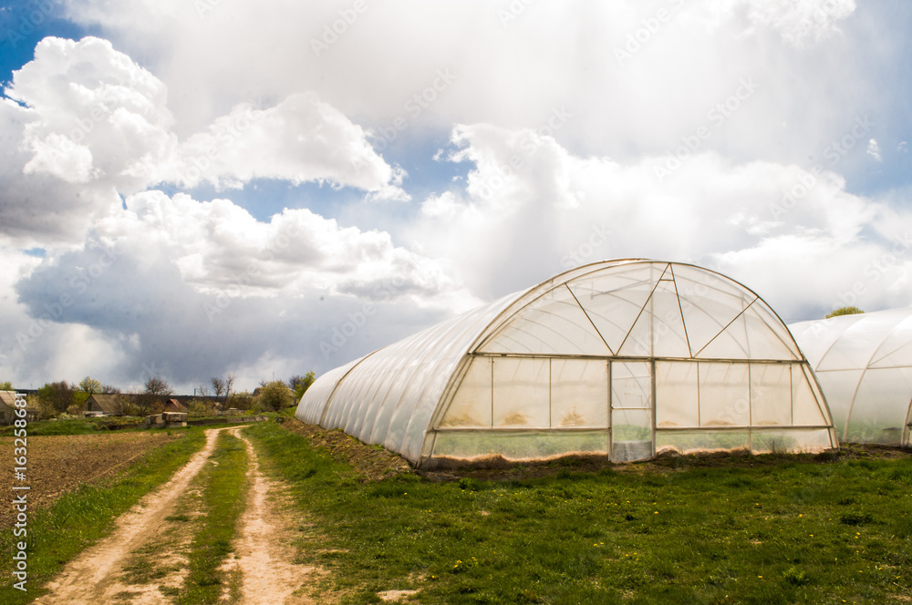 Polythene tunnel as a plastic greenhouse in an allotment with growing vegetables and fruits