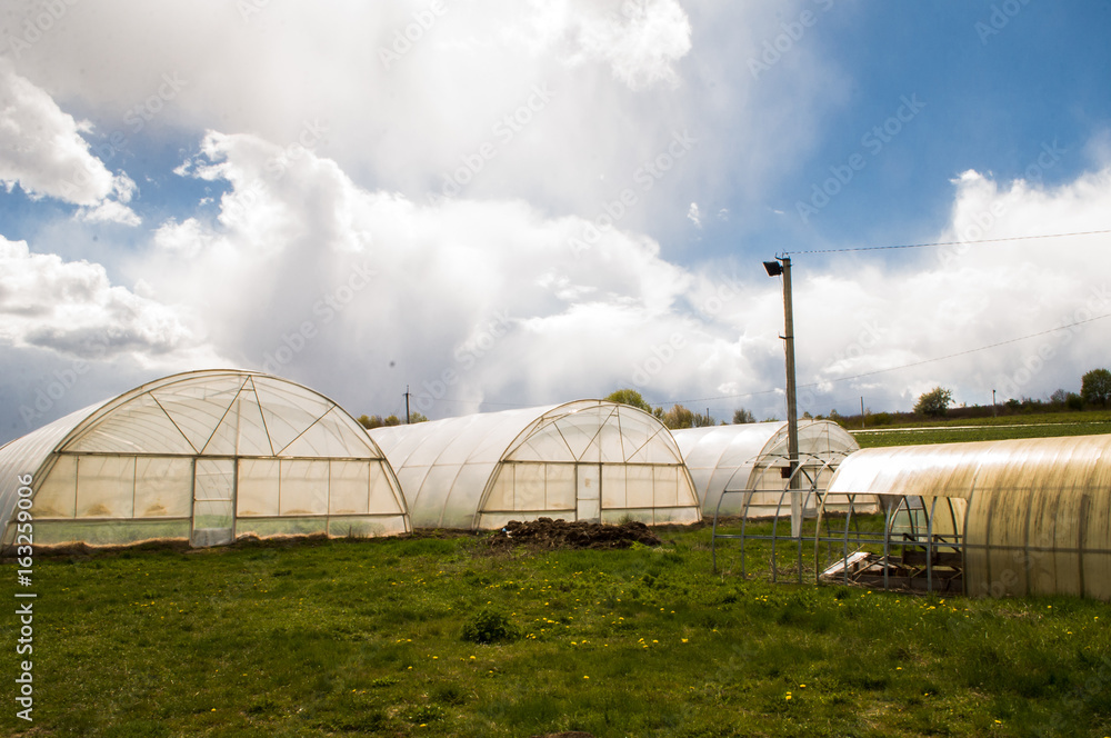 Polythene tunnel as a plastic greenhouse in an allotment with growing vegetables and fruits