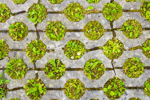Eco permeable pavement with grass growing through it. Environmentally friendly green parking.