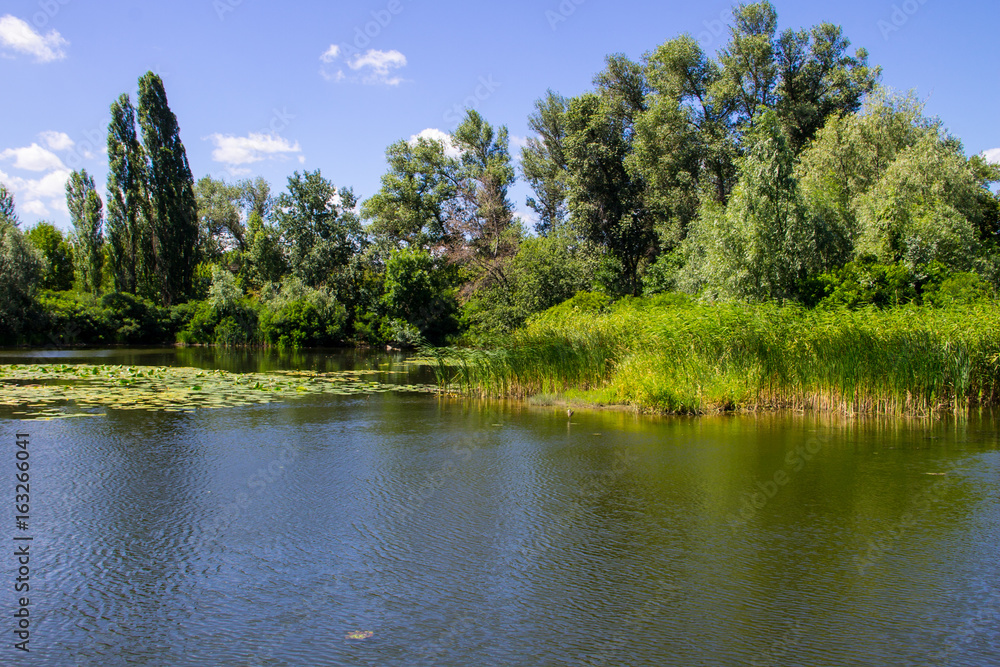 Fototapeta premium Beautiful lake on summer