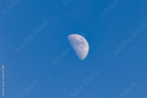 Afternoon Moon