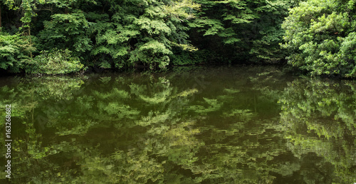 Pond in Meiji Jingu Inner Garden located Tokyo, Japan