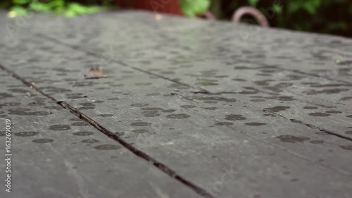 Water drops from rain landing on patio deck during spring in daytime photo