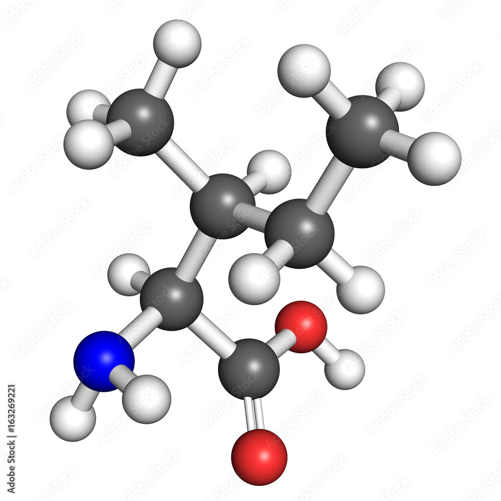 Isoleucine molecule, ball and stick model Isoleucine molecule, ball and stick model
