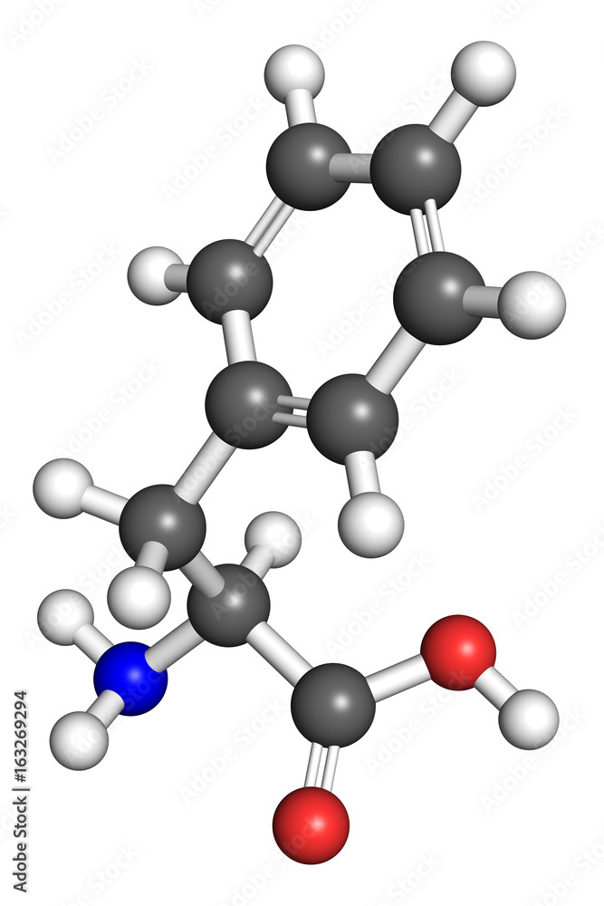 Phenylalanine molecule, ball and stick model Phenylalanine molecule, ball and stick model