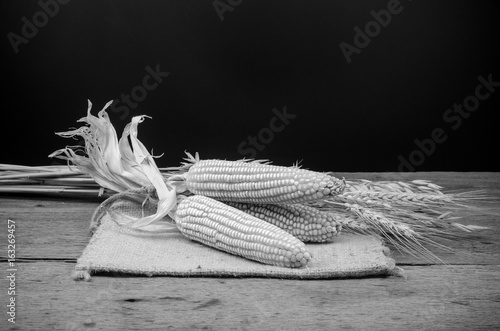 Dried corn in sackbag on wooden table photo