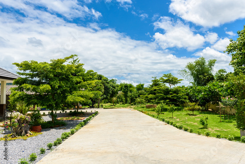 Cement road in the park