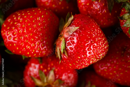 Ripe strawberry in colander