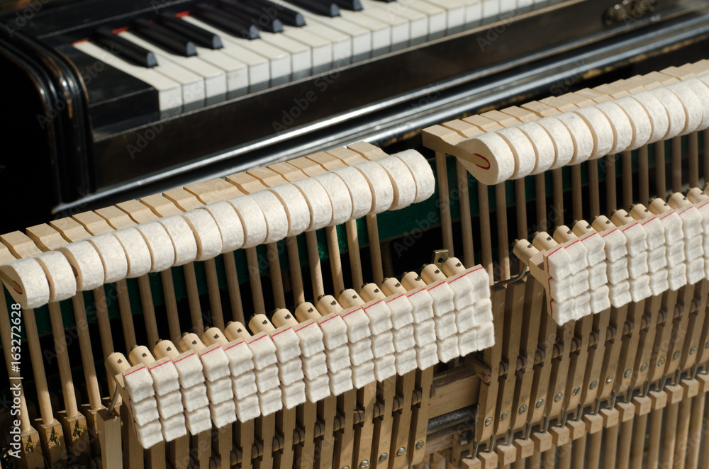 Mechanics of the piano - Inside of the piano Mechanics of the piano - Inside of the piano