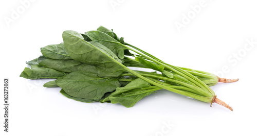 fresh spinach on white background