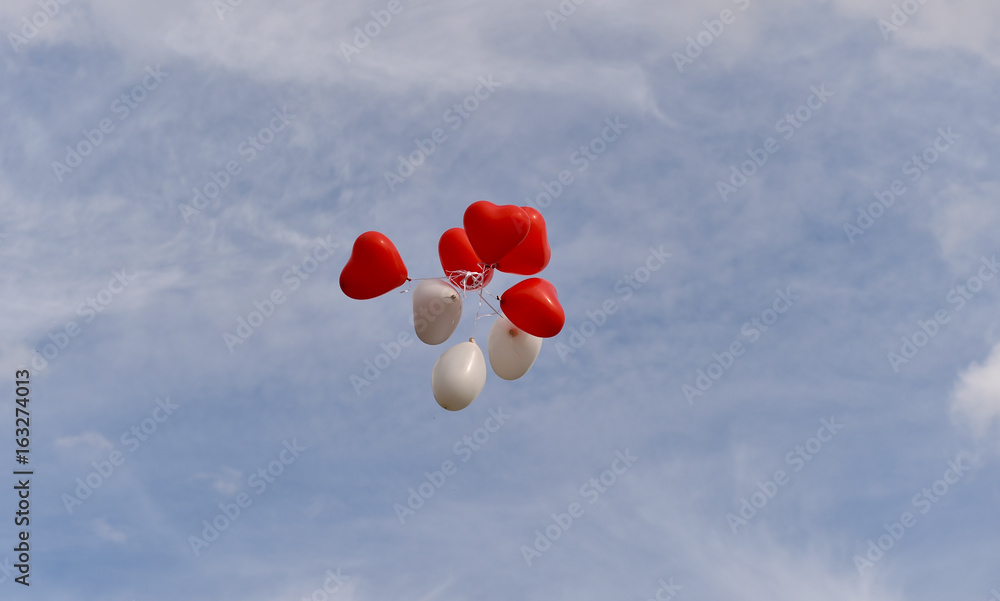 Fototapeta premium Luftballons