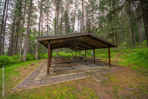 Tables on a background of the green forest. Kamiak Butte State Park  Whitman County  Washington  USA