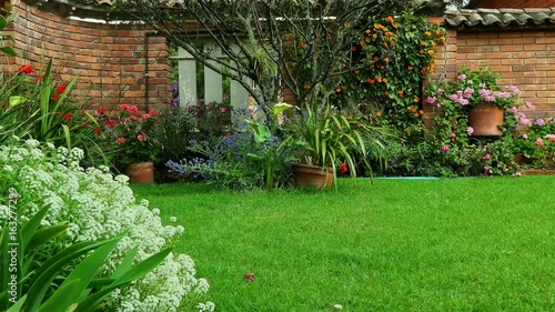 view in a small garden in the Spring with copy space. House garden full hd. nature background. ecology concept. silence garden with colorful flowers swaying gently with the breeze. morning garden.