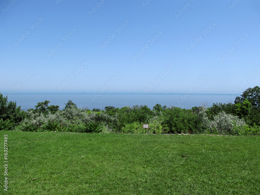 The greens on the seashore. Bushes, trees around the lawn with green grass on the Black Sea coast in Odessa