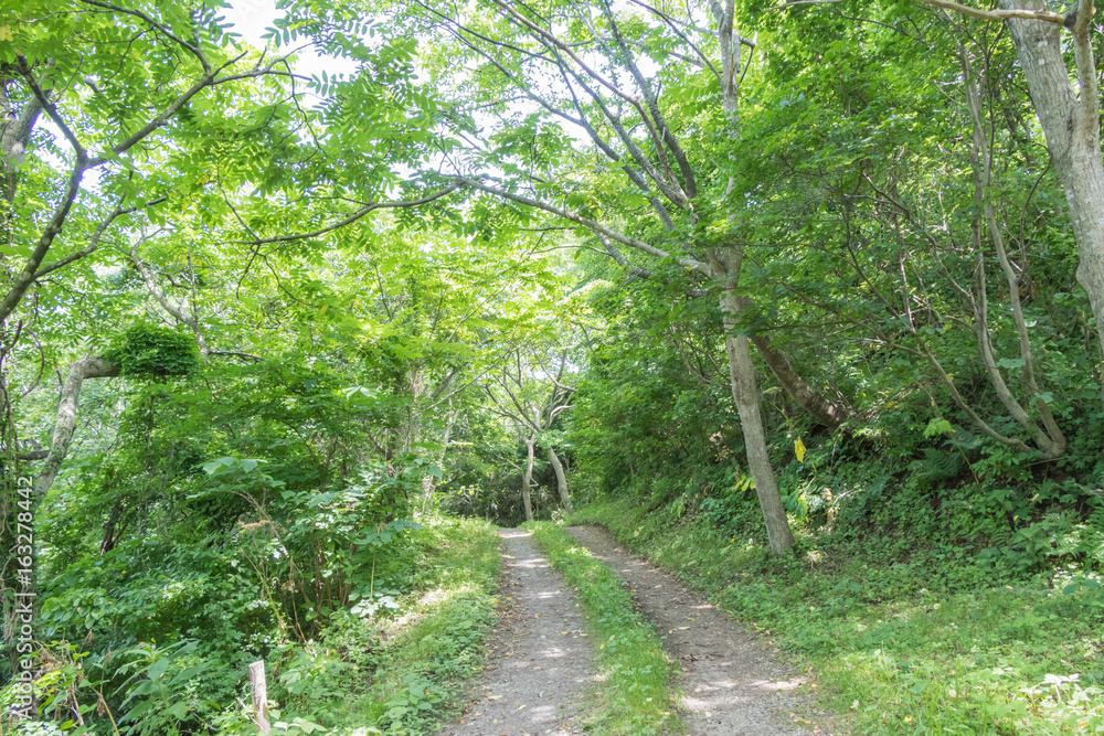 山道 山道