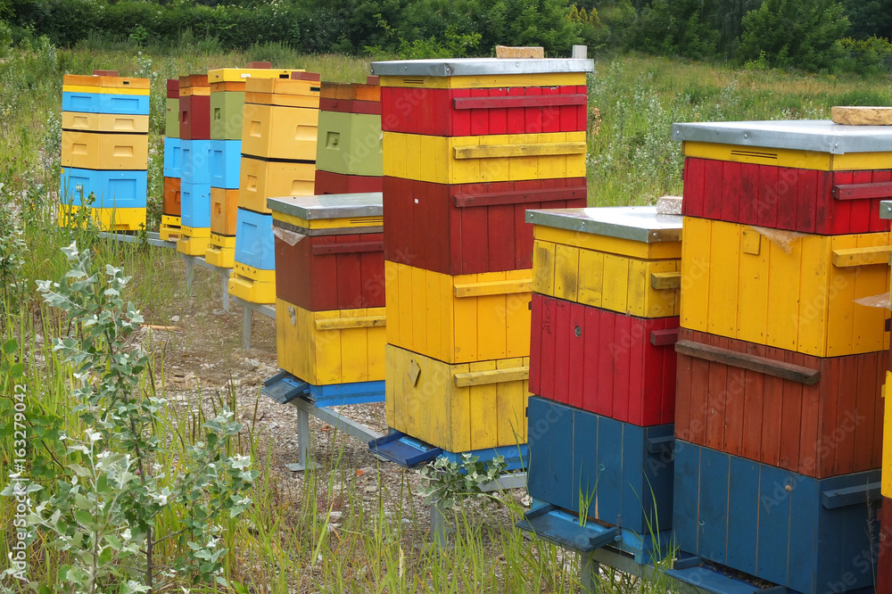 Colorful hives for bees