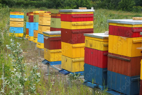 Obraz na płótnie Colorful hives for bees w salonie