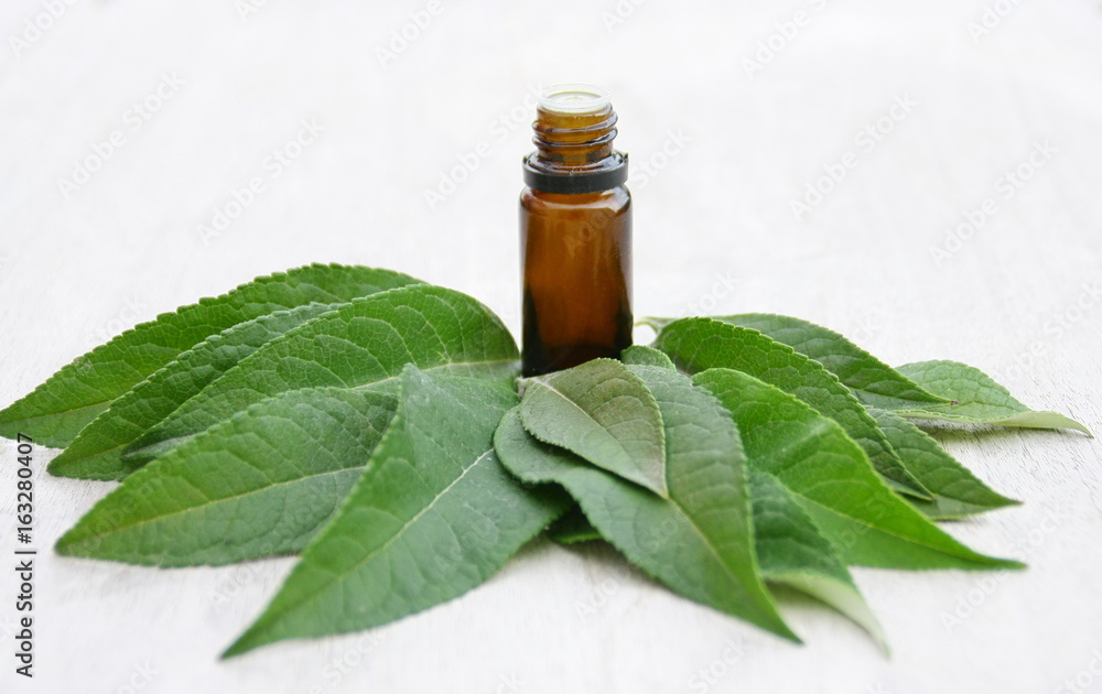 flacon d'huile essentielle de feuilles vertes bio flacon d'huile essentielle de feuilles vertes bio