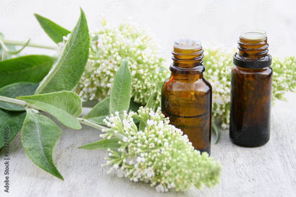 huiles essentielles ,flacons et bouquet floral,plante huiles essentielles ,flacons et bouquet floral,plante