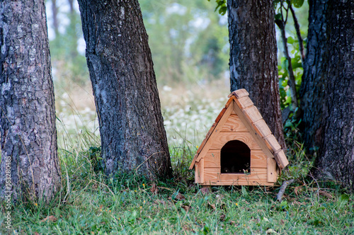 Wooden dog house among trees © ivanaculafic