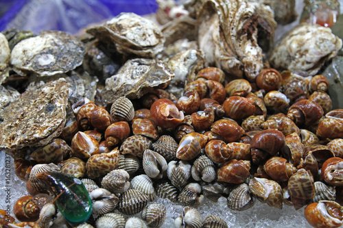 Fototapeta Naklejka Na Ścianę i Meble -  fresh seafood shellfish crustacean ice frozen in market closeup