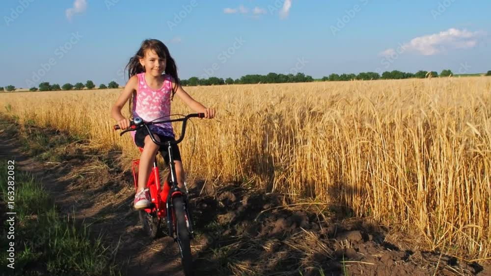 Child with a bicycle outdoors. A child is riding a bicycle in the field. Child with a bicycle outdoors. A child is riding a bicycle in the field.