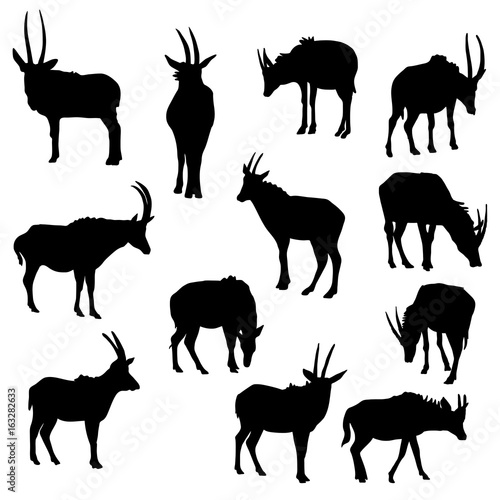 Fototapeta Naklejka Na Ścianę i Meble -  vector set of antelopes