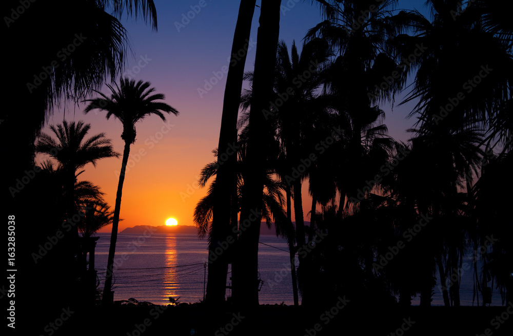 Romantic Tropical sunset on beach with palm trees in Baja California