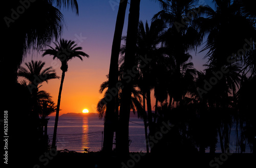 Romantic Tropical sunset on beach with palm trees in Baja California © Don