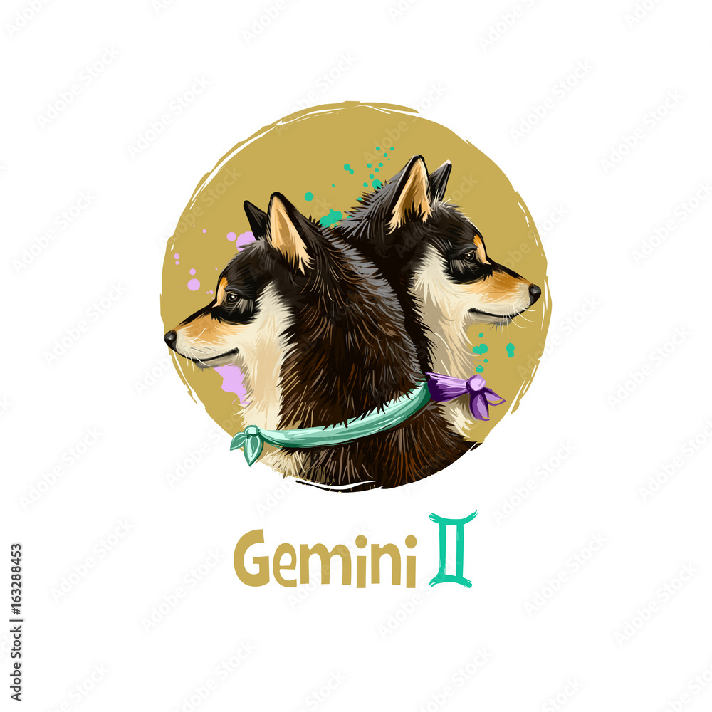 Digital art illustration of astrological sign Gemini. 2018 year of