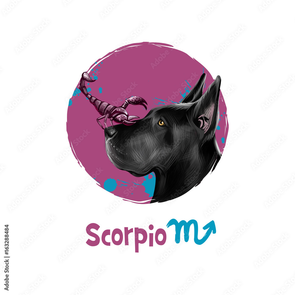 Digital art illustration of astrological sign Scorpio. 2018 year of dog